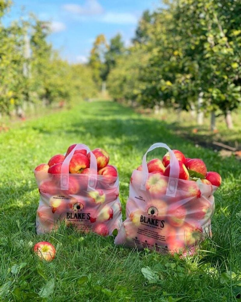 Orchard Fruits Showcasing Michigan's Bounty