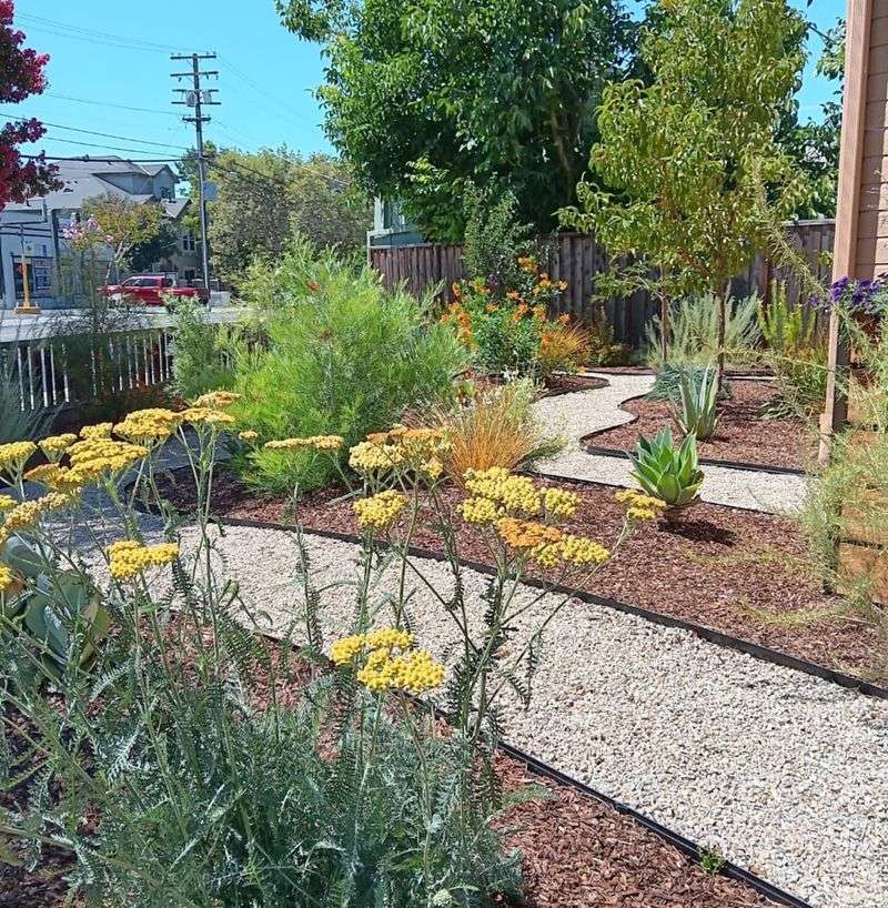 Create A Drought-Tolerant Design