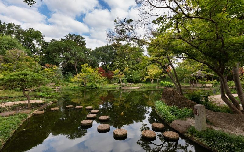 Japanese Garden
