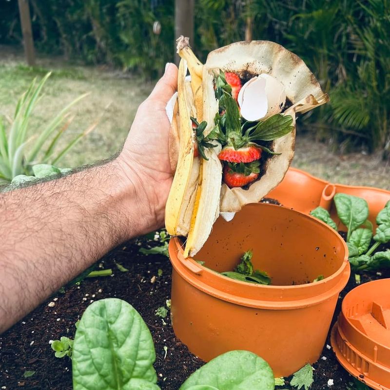 Kitchen Scraps Make Superior Plant Food