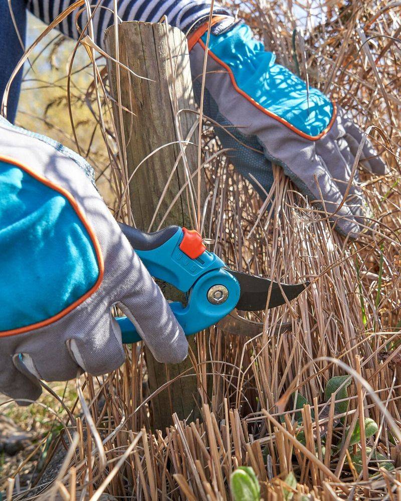 Clear Away Summer Plant Debris