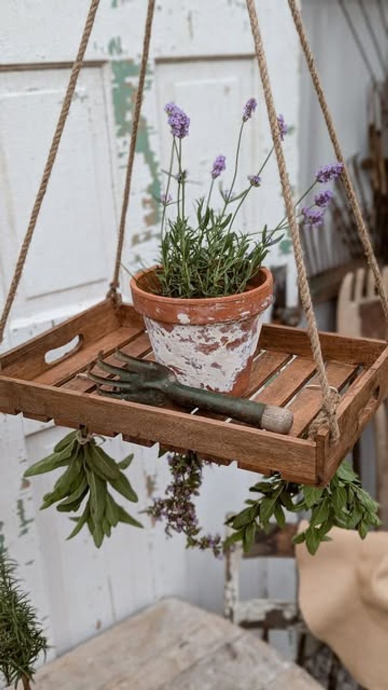 Harvest Herbs for Drying