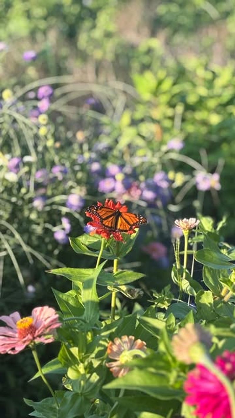 Create Blooming Seasons for Year-Round Support