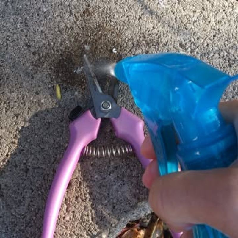 Clean Your Tools