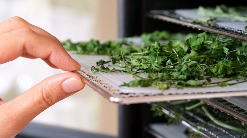 Dehydrate For Maximum Longevity