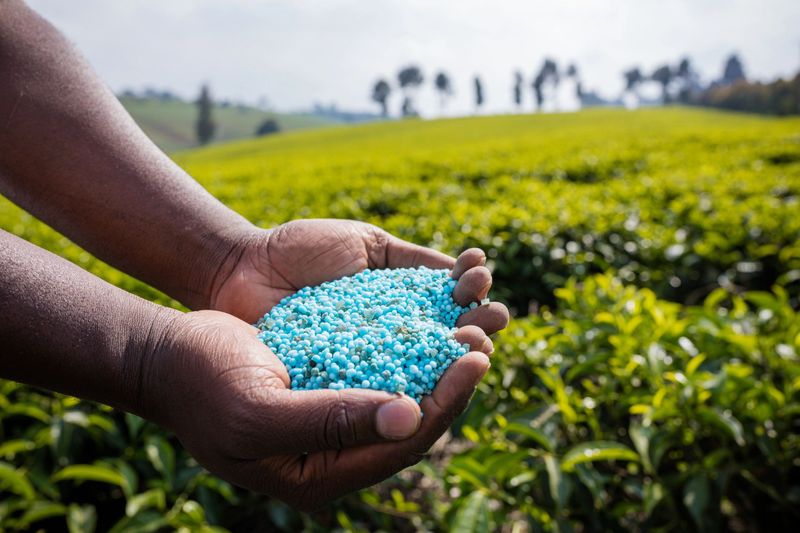 Synthetic Fertilizers