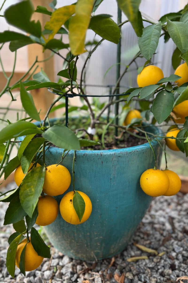 Manage Seasonal Temperature Changes