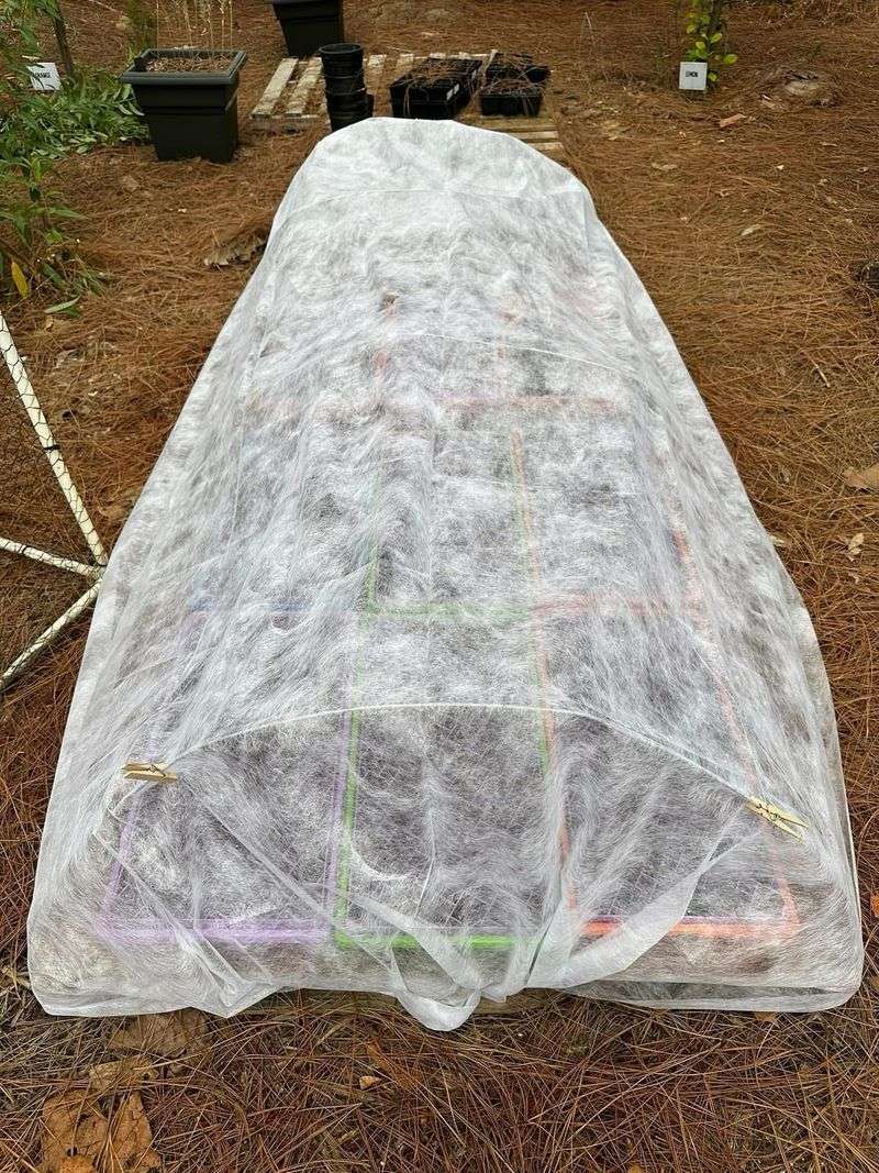Extend Your Growing Season With Simple Covers