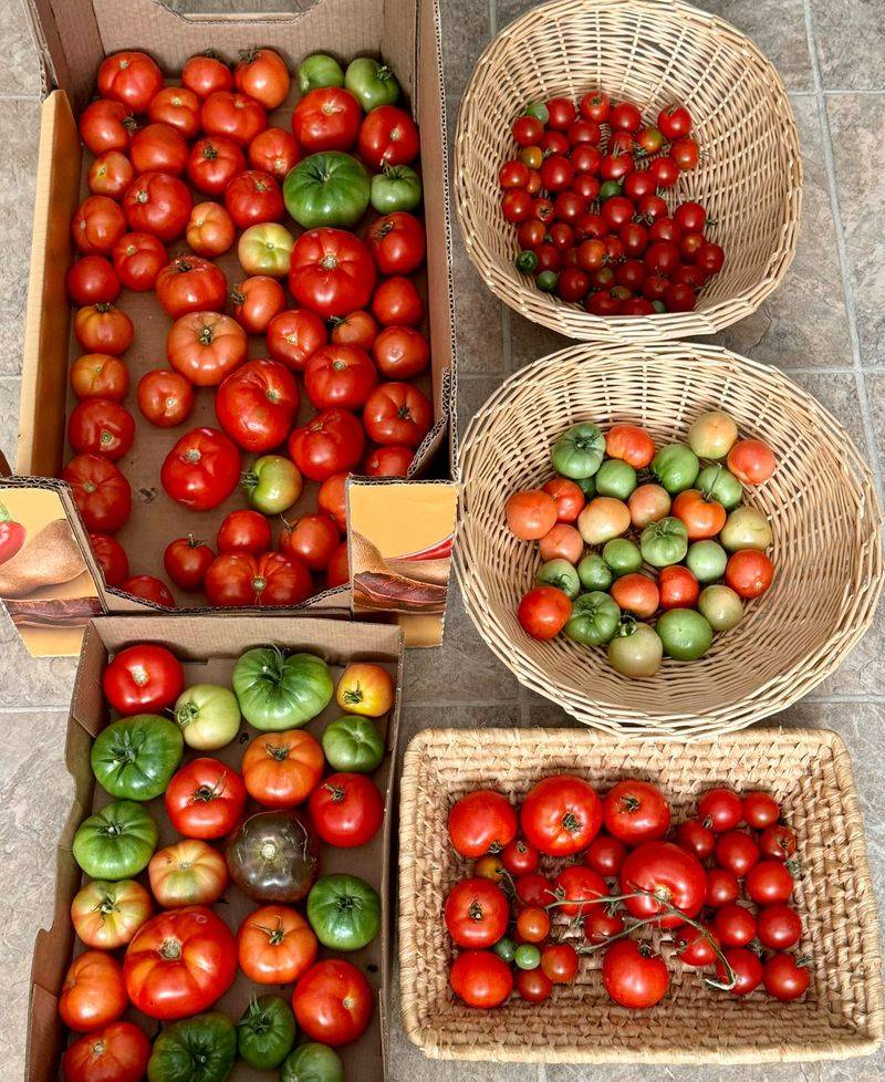 Harvest Continuously