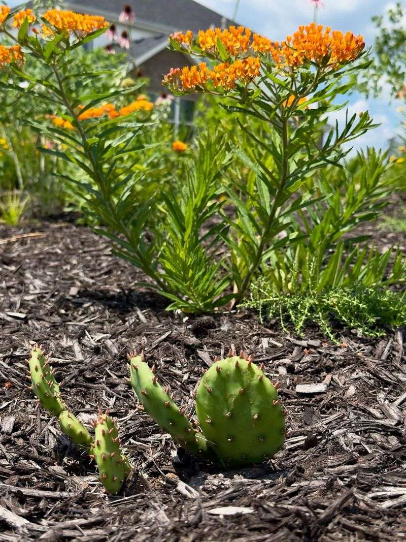 pH Levels Fluctuate With Seasonal Changes