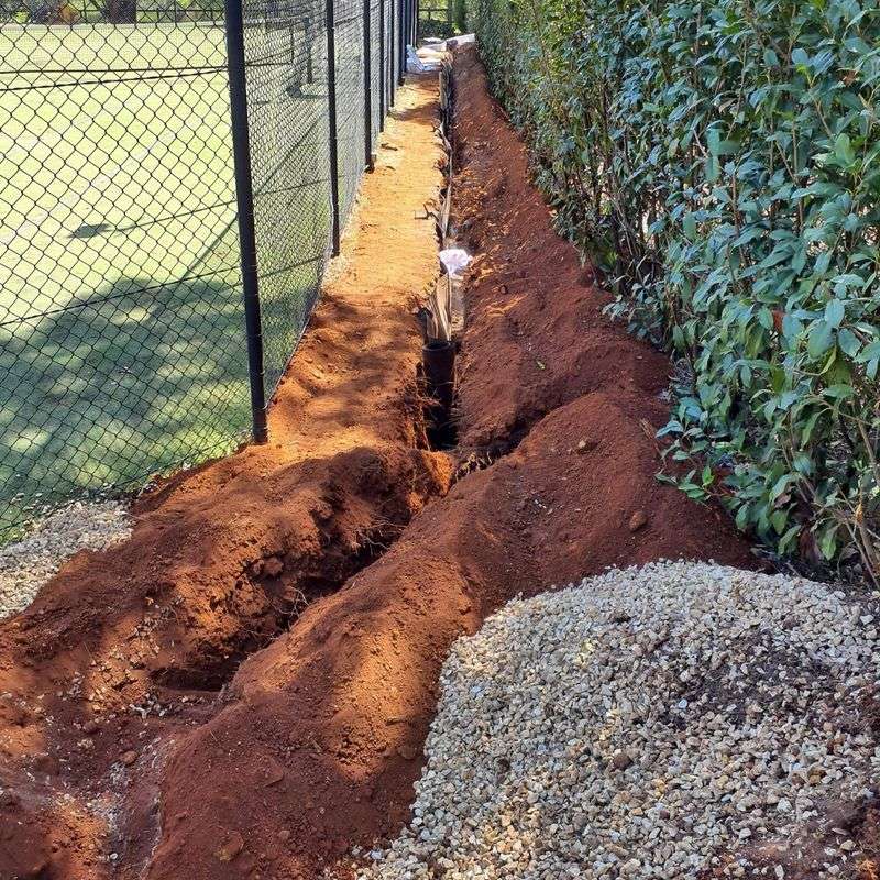 Causes Compensatory Root Growth