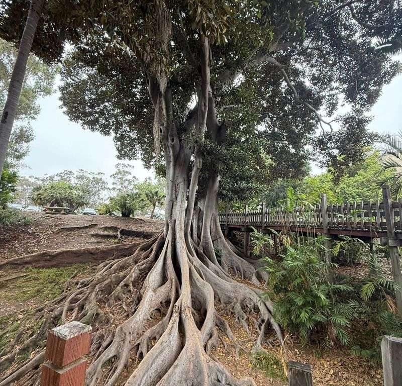 Disturbs Natural Nutrient Cycling