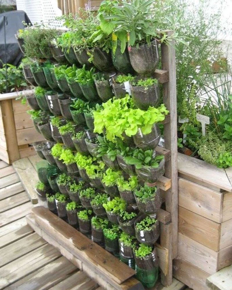 Vertical Gardening With Recycled Materials