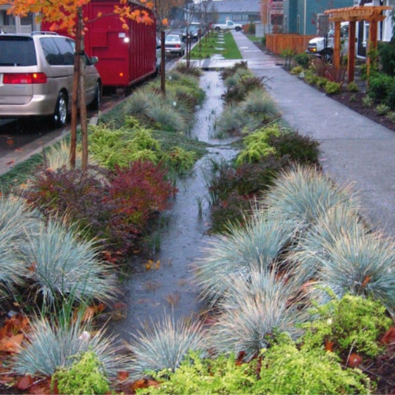 Climate Resilience