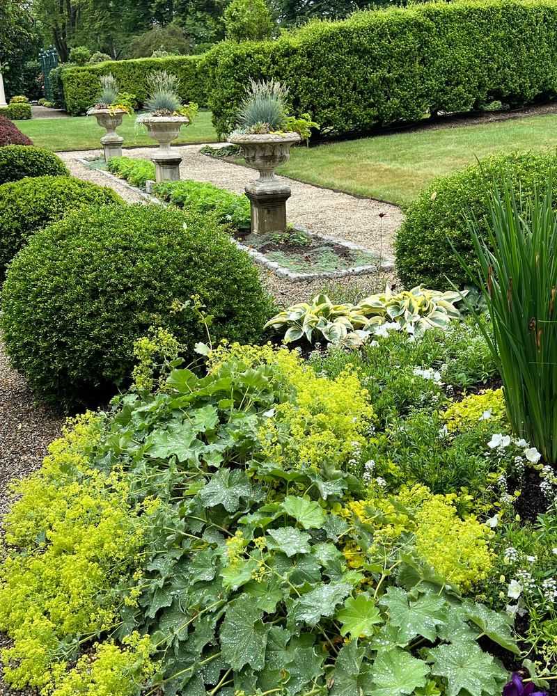 Therapeutic Garden Design