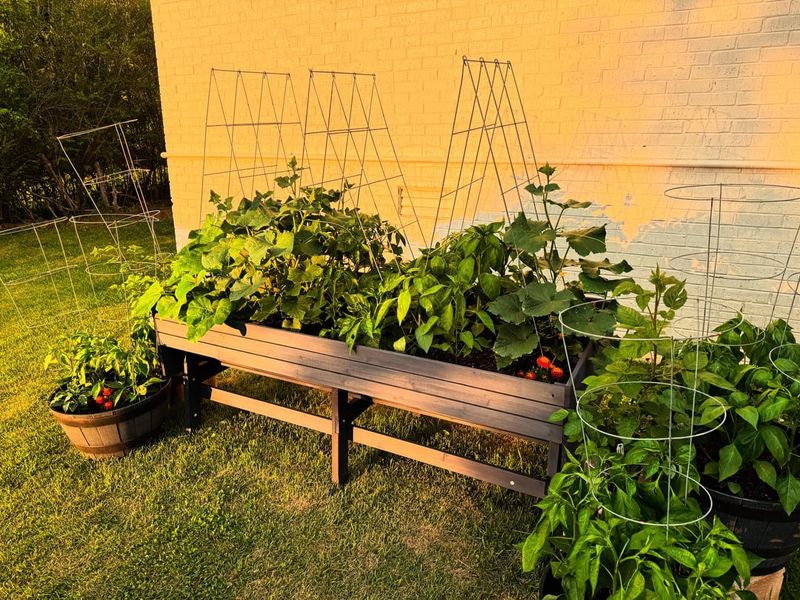 Zone-Specific Plant Care