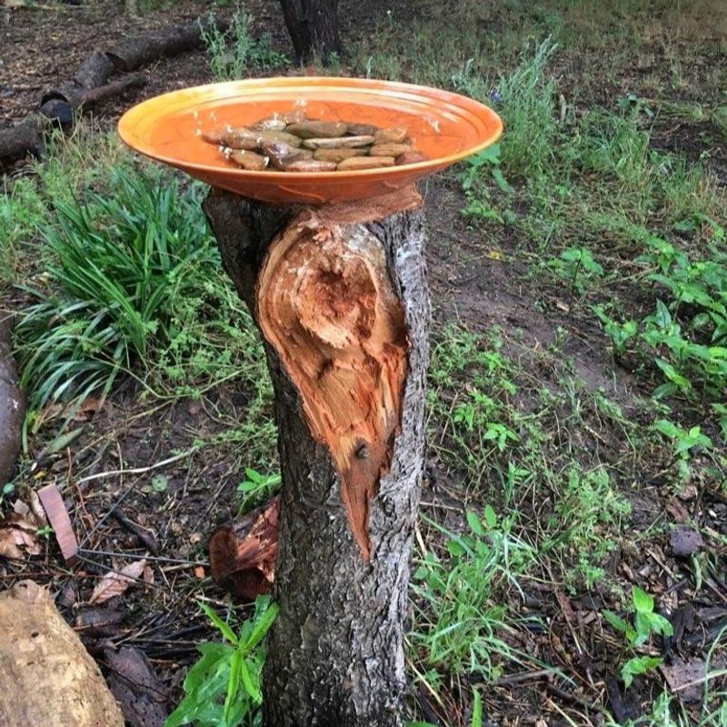 Add a Water Source
