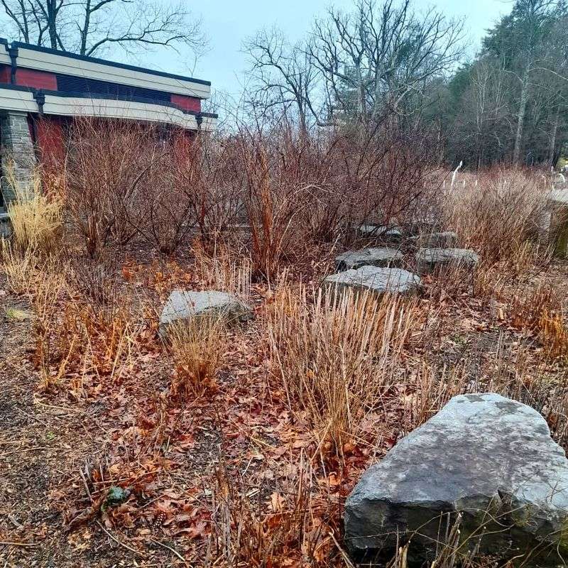 Leave Stems Standing Through Winter