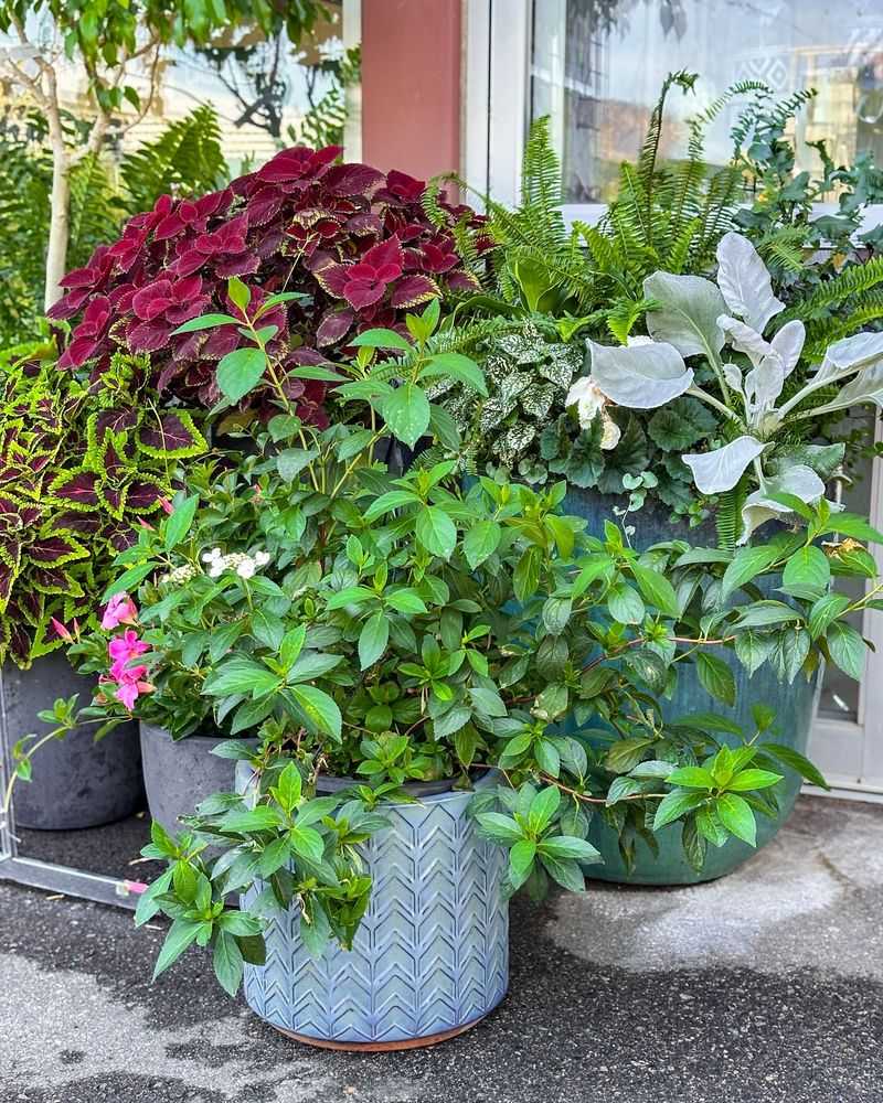 Create Instant Container Gardens