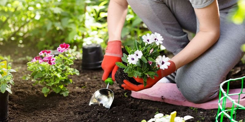 Avoid Midday Garden Work