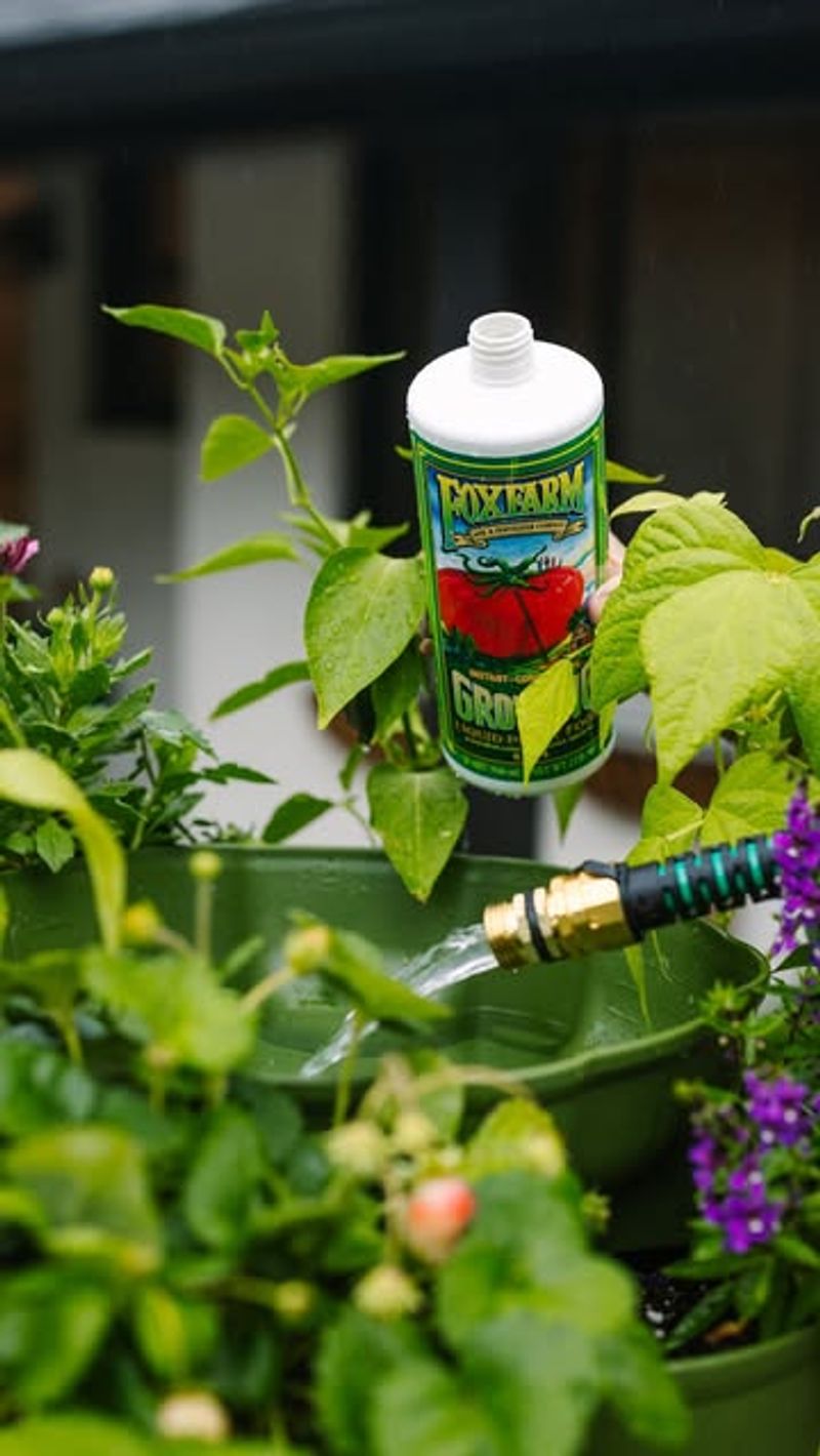 Switch Fertilizing Strategies