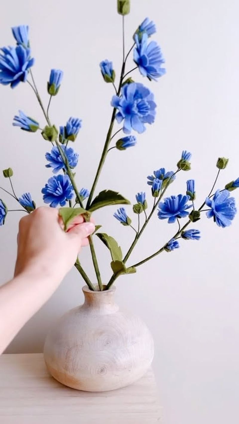Chicory's Blue Morning Stars