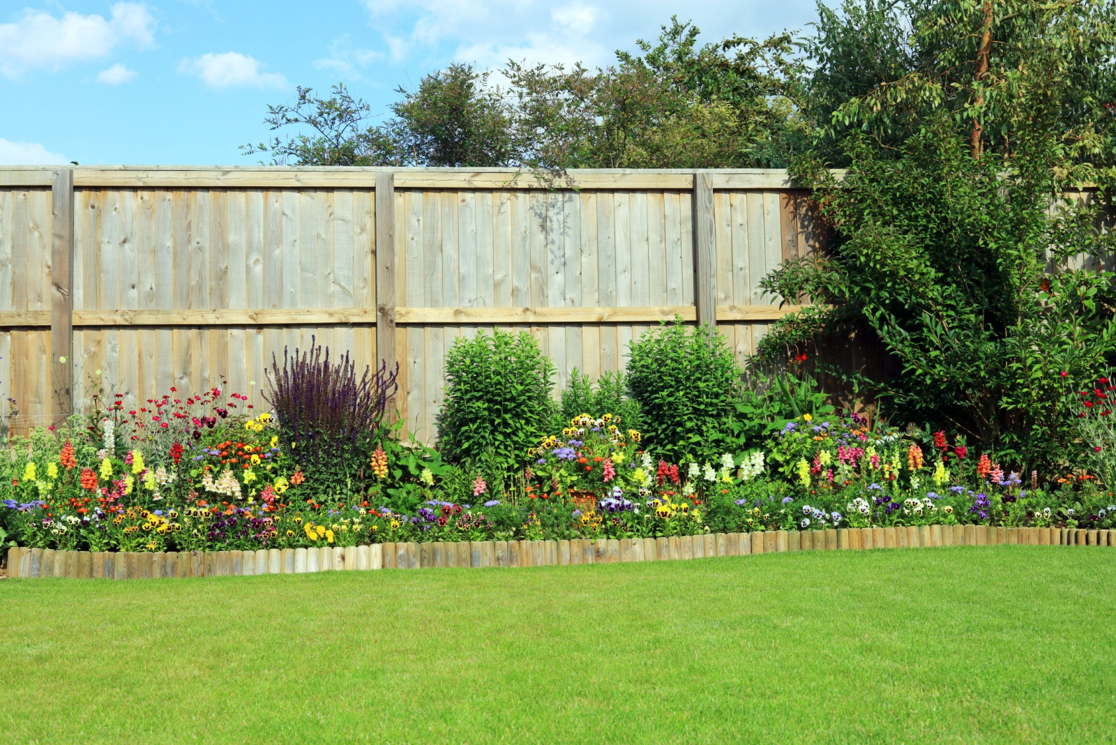 garden fence