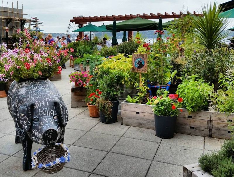 Community Planters Maintained By Locals