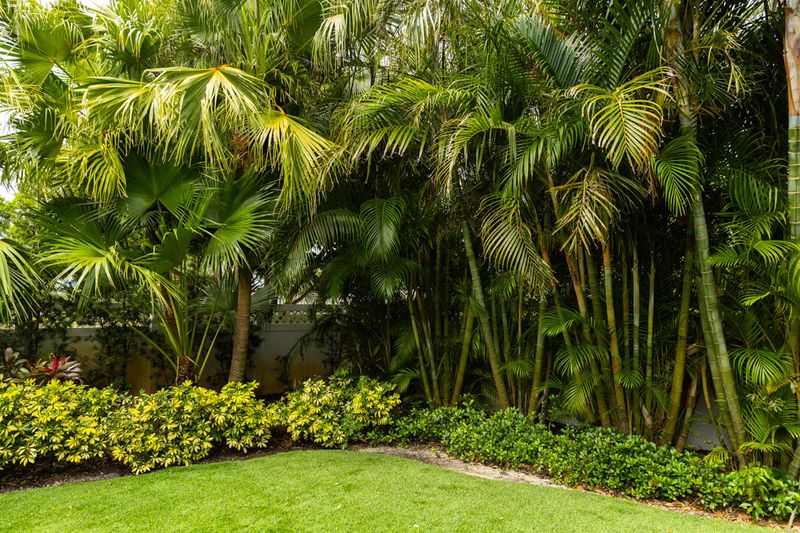 Strategic Plant Placement Saves Water