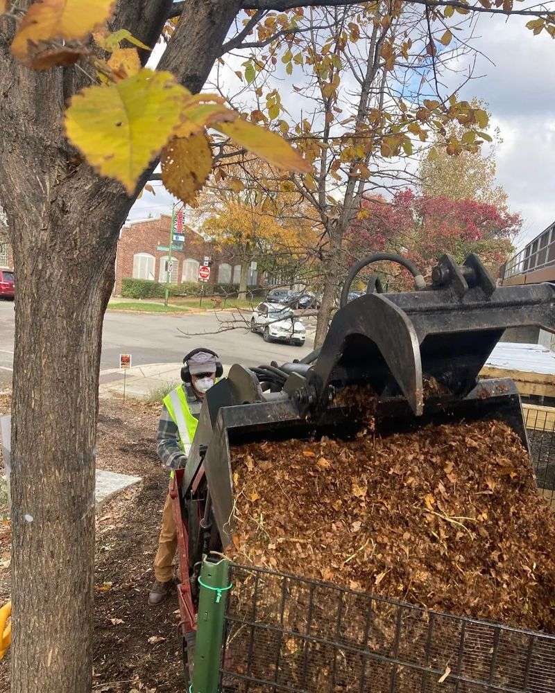 Free Mulch From Local Tree Services
