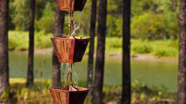 Rain catchers hanging over the North Fork River in Montana near Glacier National Park (featured image)