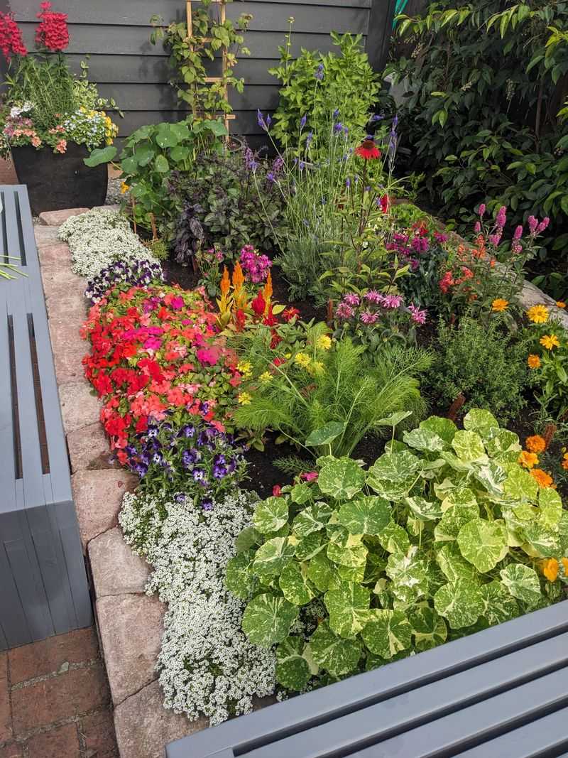 Edible Flower Borders