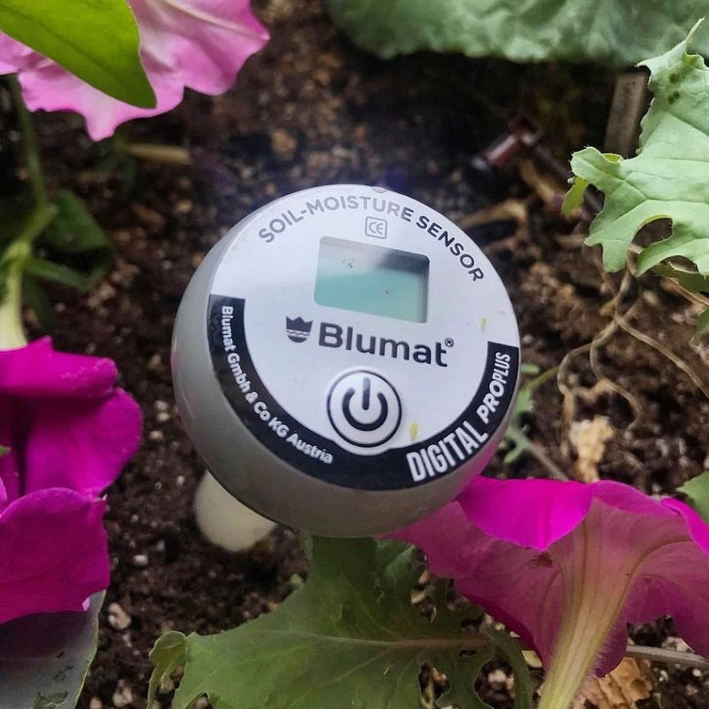 Soil Moisture Meters Guide Watering Decisions