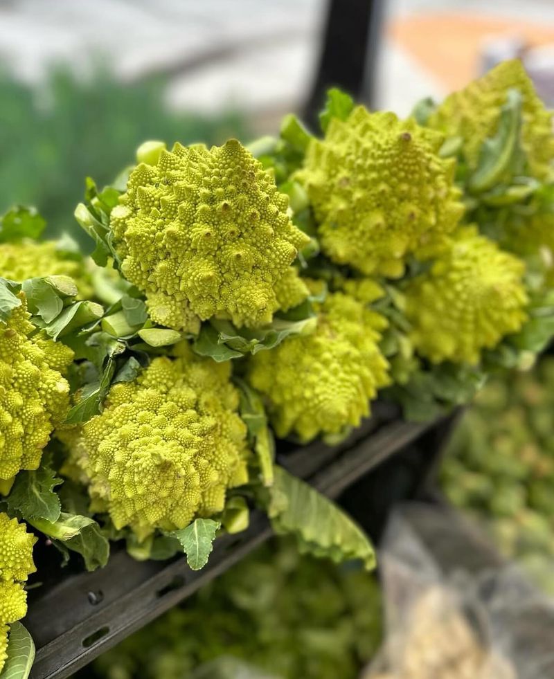 Romanesco