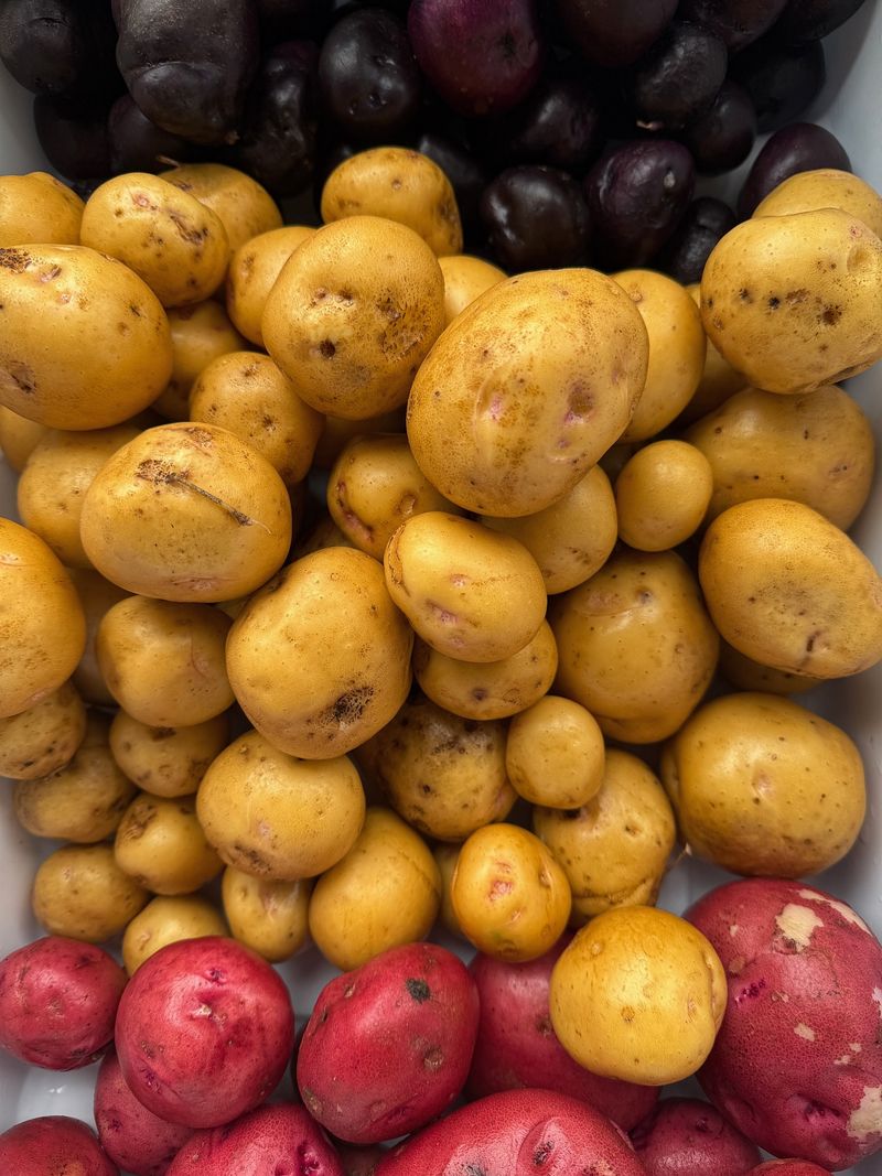 Fingerling Potatoes