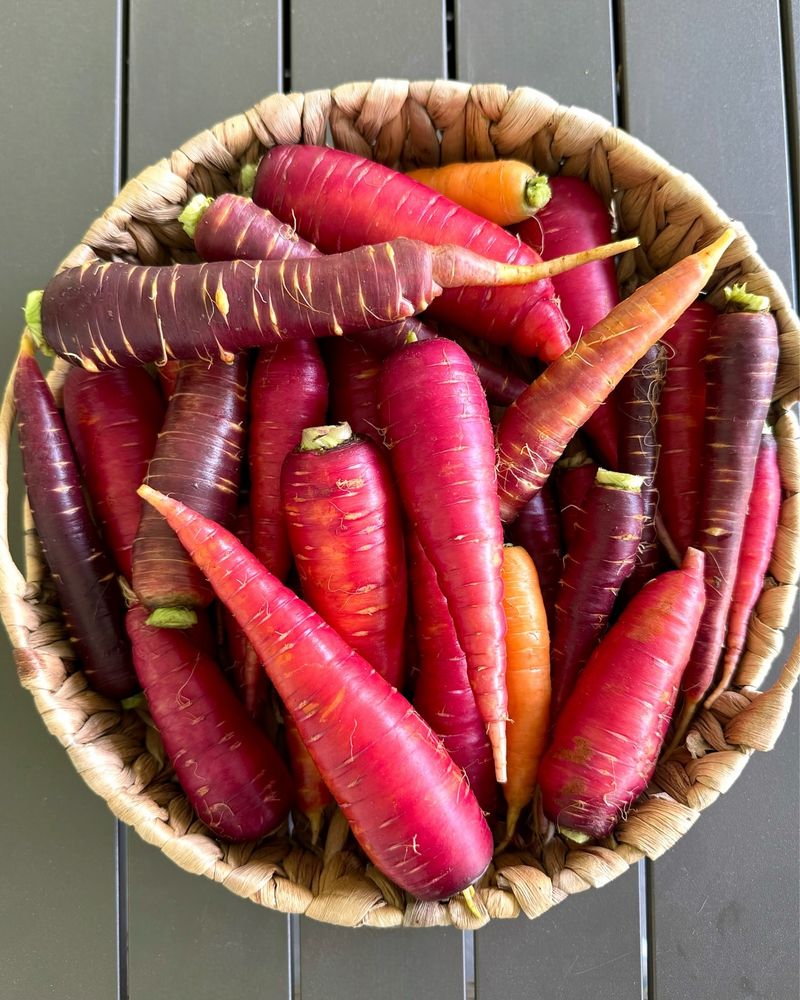 Purple Carrots
