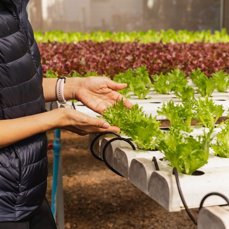 Fewer Pests Active