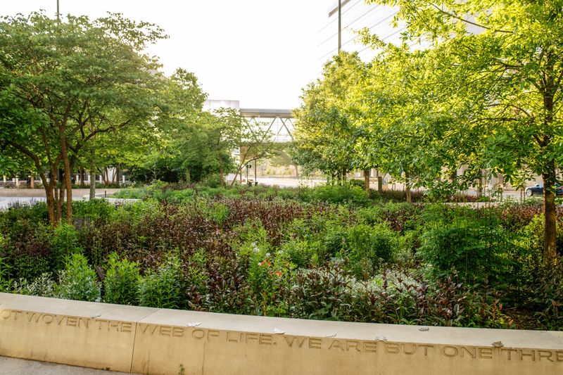 Meandering Pathways Through Edible Landscapes