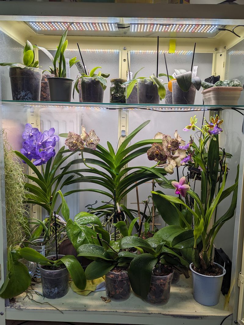 Shade Cloth Positioning