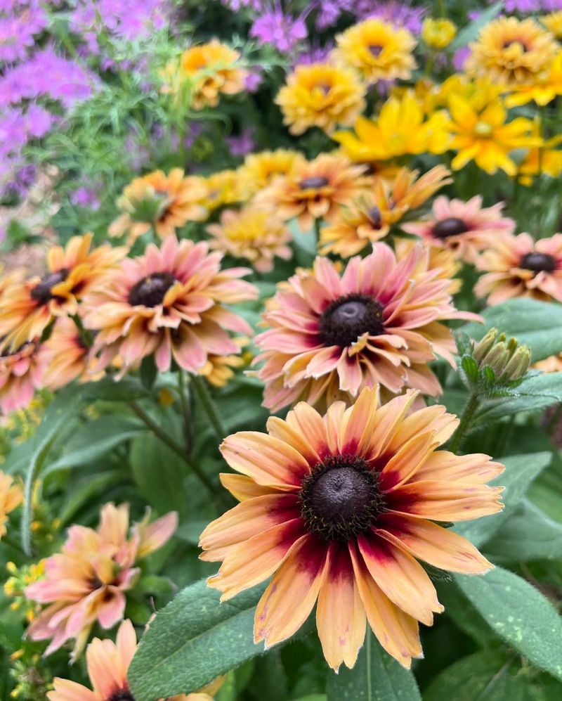 Seasonal Changes Bring Surprising Colors