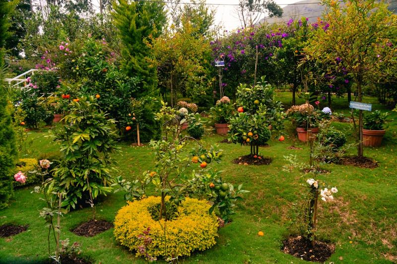 Companion Planting Wisdom