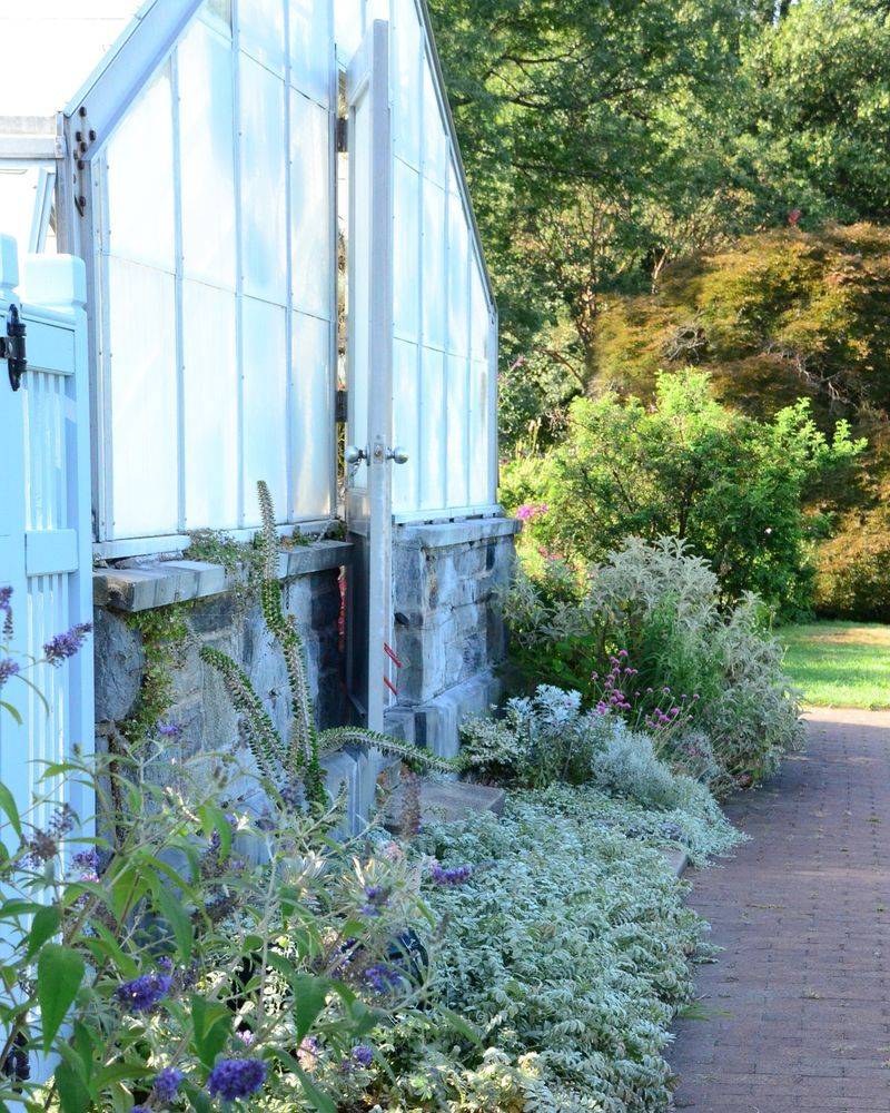 Sisters' Alpine Growing Challenge