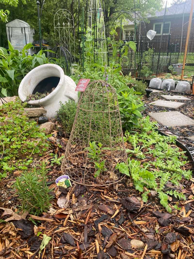 Season-Extending Cloches