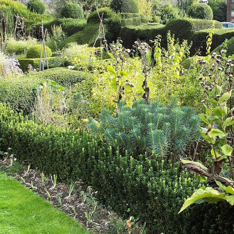 Shakespeare Garden's Literary Plants