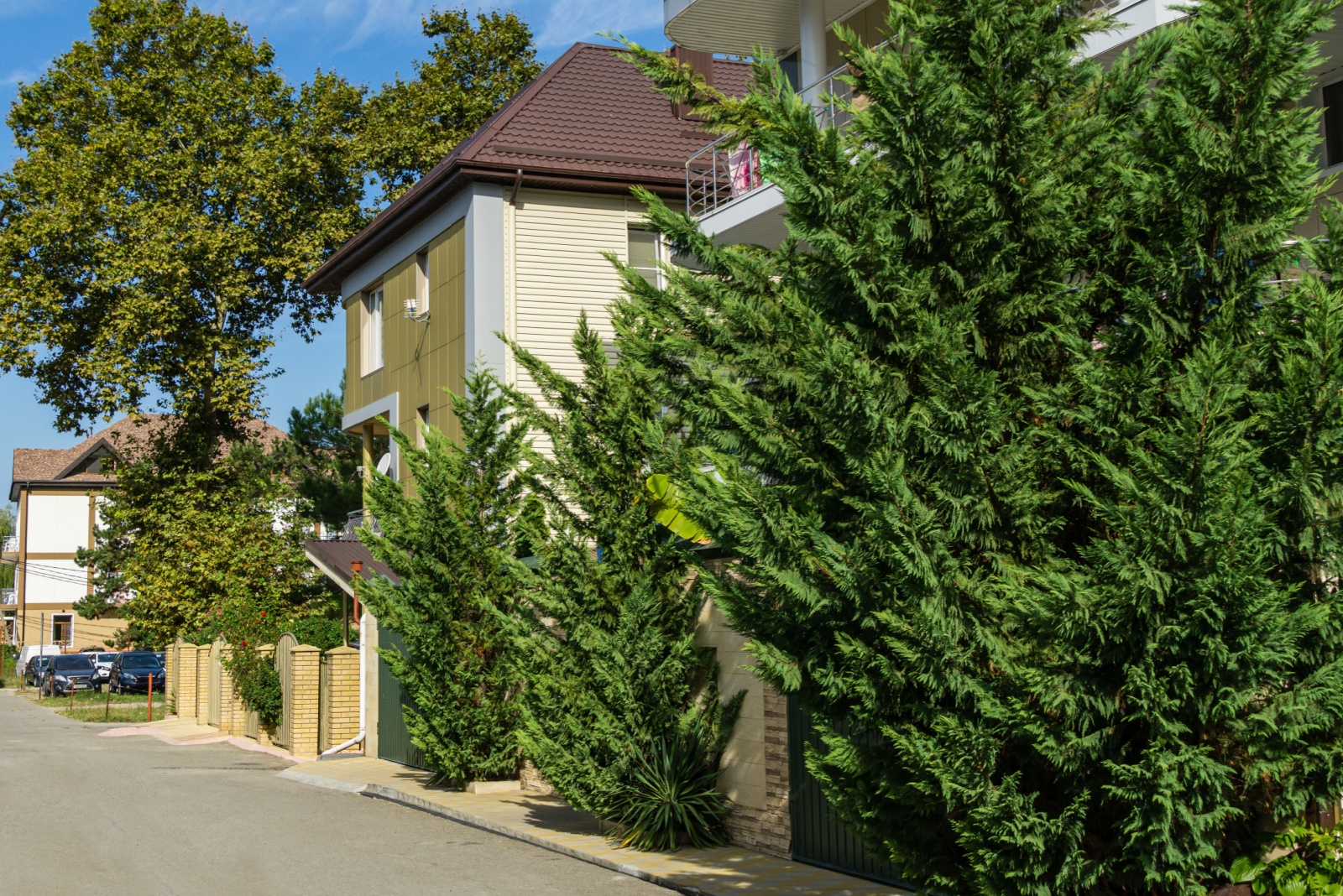Reasons Nashville Homes Might Add Living Fences For Fall Privacy That Lasts All Season