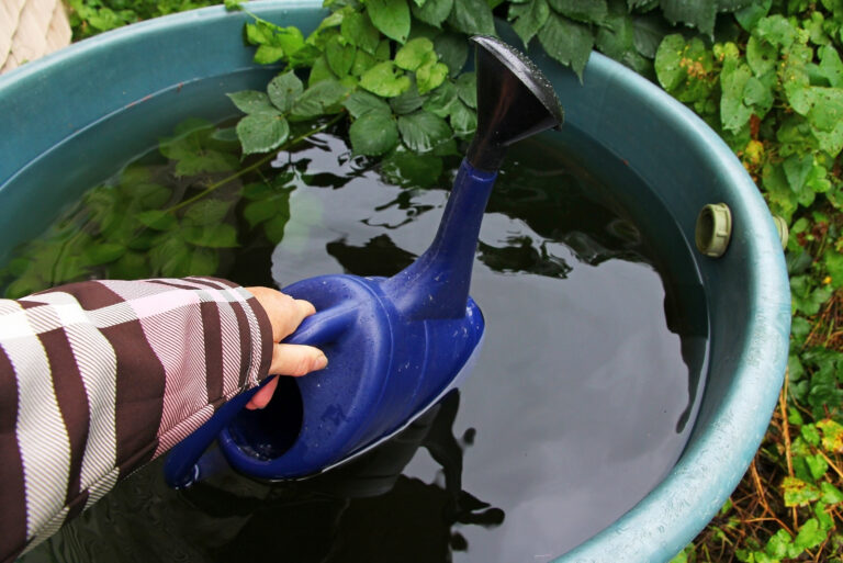 watering can (featured image)