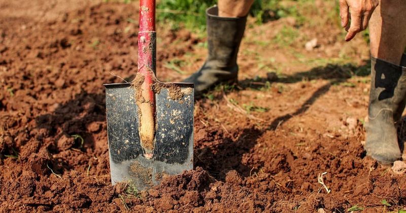 Beating KC's Clay Soil Struggles