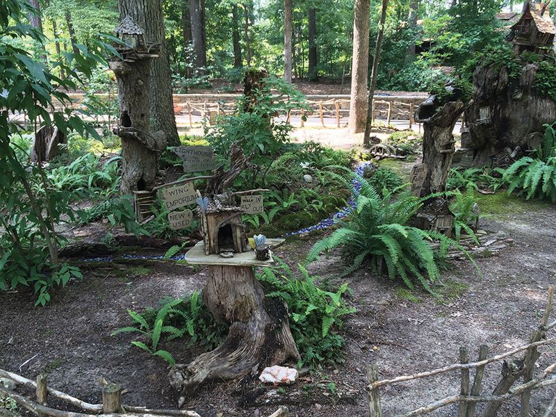 Natural Wildlife Habitat Creation