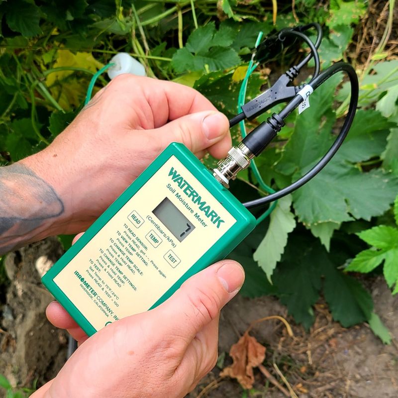 Get Soil Oxygen Level Readings For Healthier Plants