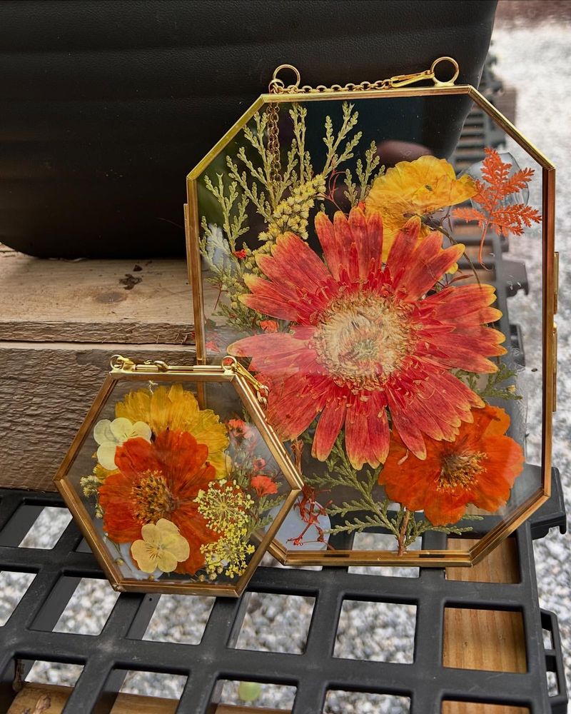 Dried Botanical Art Displays